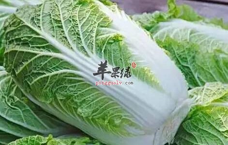 这些食物大家在冬至是适合食用的  第1张