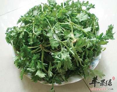 夏季防虫小妙招  第3张