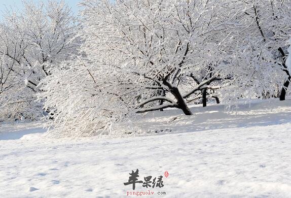 大雪节气的习俗由来 你可了解