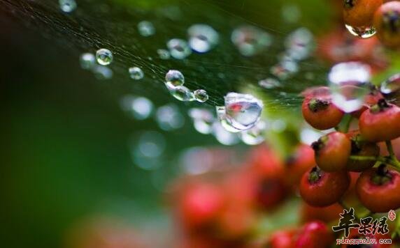 雨水节气的习俗主要有哪些  第4张