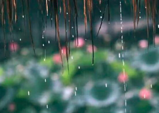 梅雨季节是什么时候  第2张