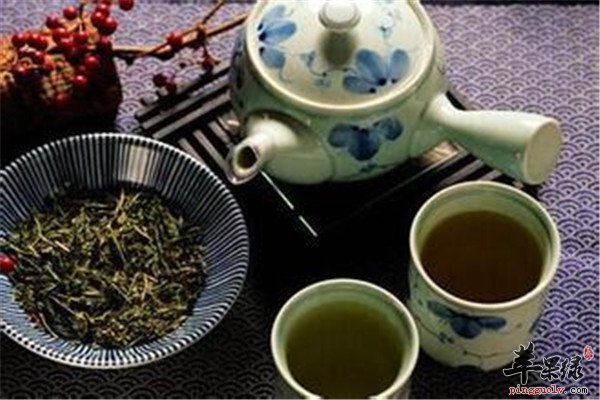 适合冬季的花茶可以调理体质  第1张