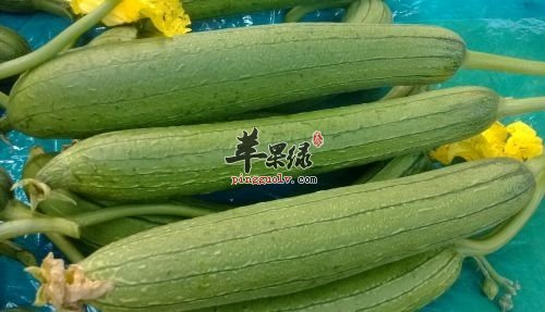 夏日吃这几类食物巧养生 吃出健康一夏