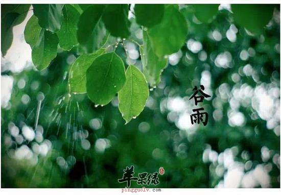 谷雨节气可以做哪些运动  第3张