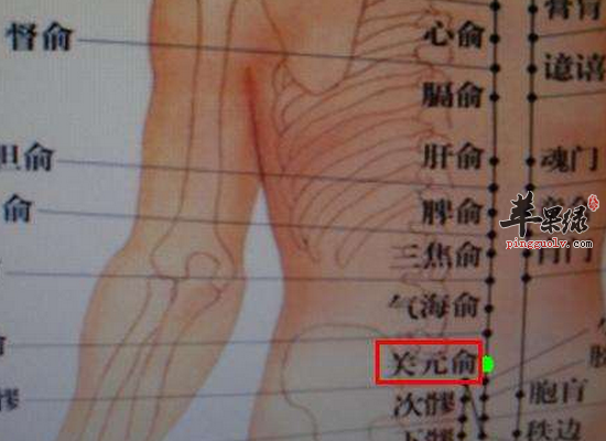 男性时常按摩关元俞穴可以壮阳止泻  第3张