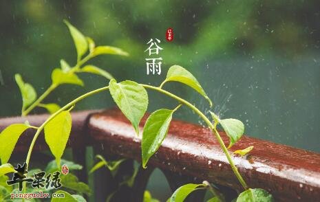 2017年谷雨是什么时候  第3张