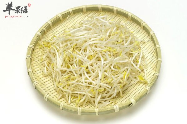 春季干燥要吃豆芽 三种豆芽本领大  第1张