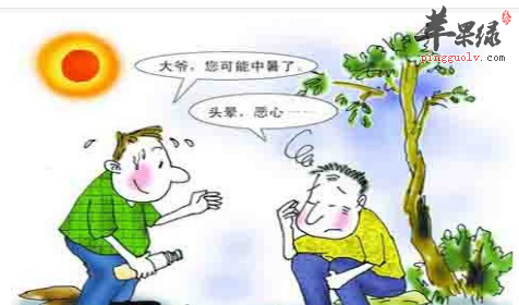 夏至已至 如何做好防暑降温