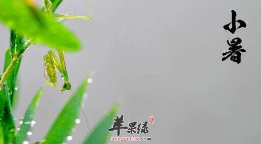 2017年小暑是什么时候