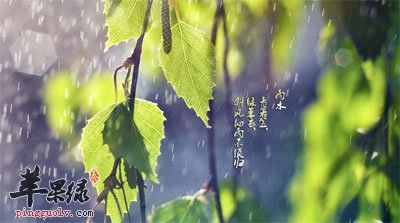 雨水节气的防病保健  第1张