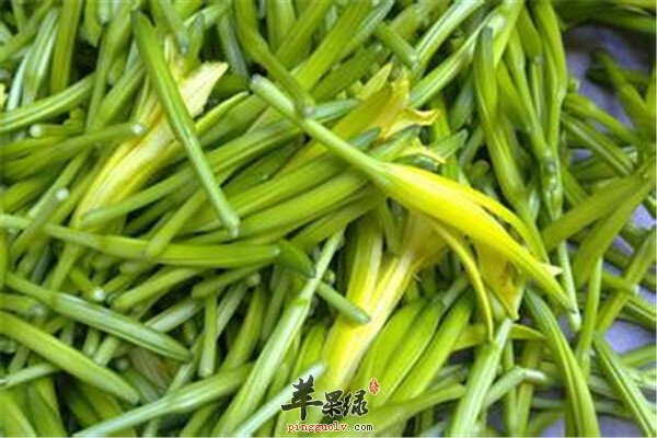 春季要注意蔬菜中毒 这些要谨防  第4张