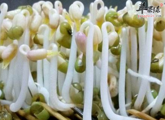 秋季女性吃绿豆芽润肤养颜解便秘  第3张