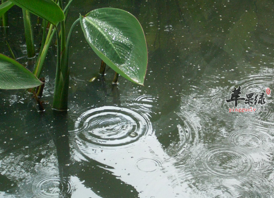 梅雨季节人们在饮食上应吃什么