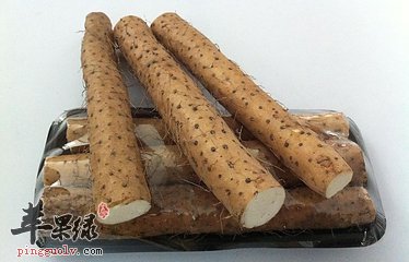 女性气虚怎么办 补益元气的食物  第4张