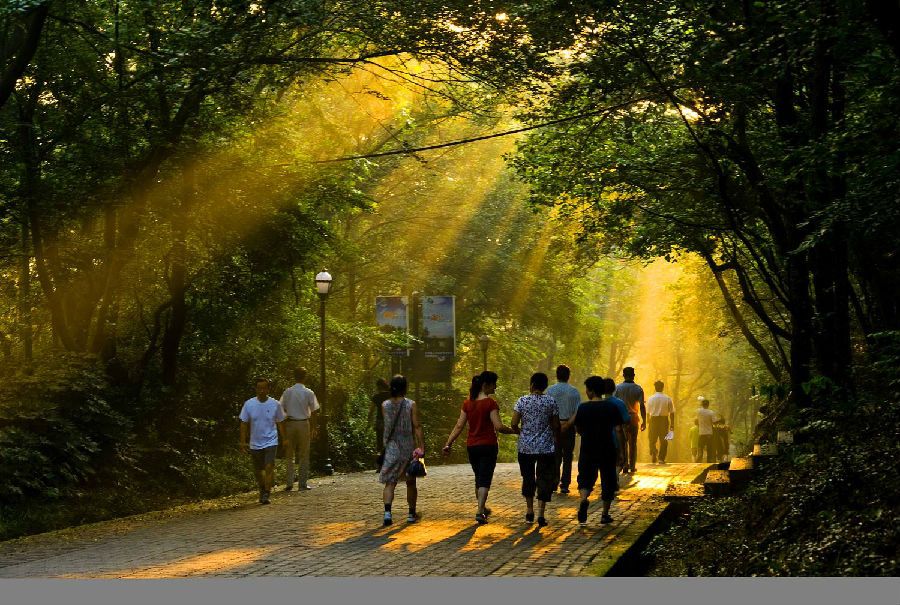 为大家介绍一些立夏养生的误区