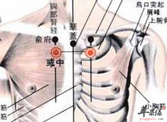 男性生气壮阳常按摩彧中穴位  第2张