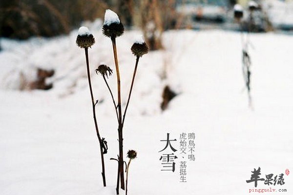 大雪养生原则 保暖 膳食 运动方面  第4张