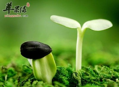 春季为什么要注意饮食清淡  第4张