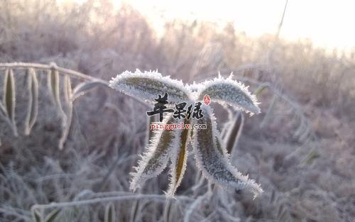 霜降养生的注意事项