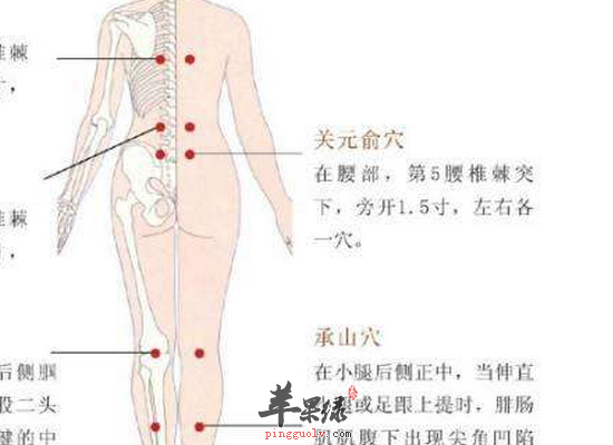 男性时常按摩关元俞穴可以壮阳止泻  第2张