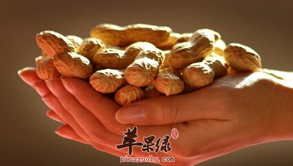 秋天容易犯困 吃这些食物精力旺盛  第4张