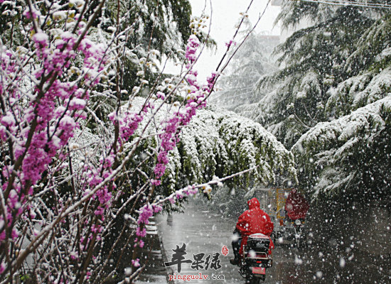 吃什么帮助大雪节气滋补血气  第4张