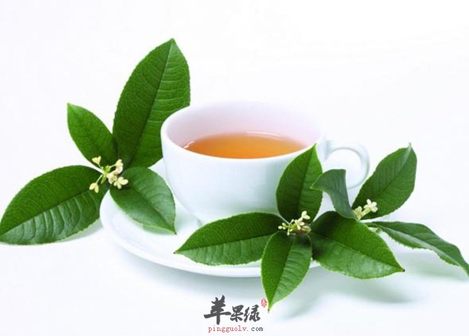 夏季喝茶可解暑 还具有这些功效  第2张