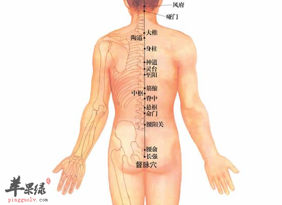 中老年人健脾利湿按摩脊中穴  第4张