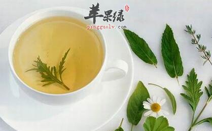 夏天常打盹可以经常泡茶提神  第1张