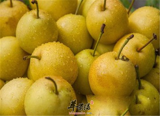 冬季咳嗽咳痰 试试化痰开窍食物  第3张