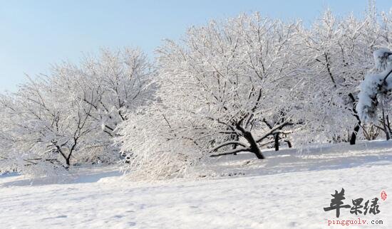 2016年大雪是哪一天  第2张