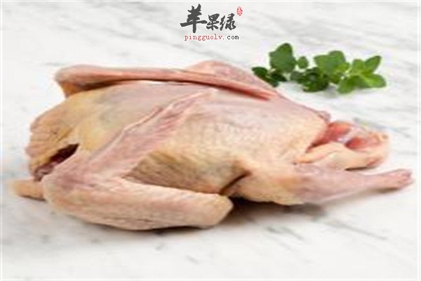 冬季两种肉要多吃 猪肉和鸽子肉  第2张