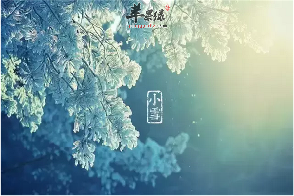 小雪节气要注意什么 科学保健方法  第2张