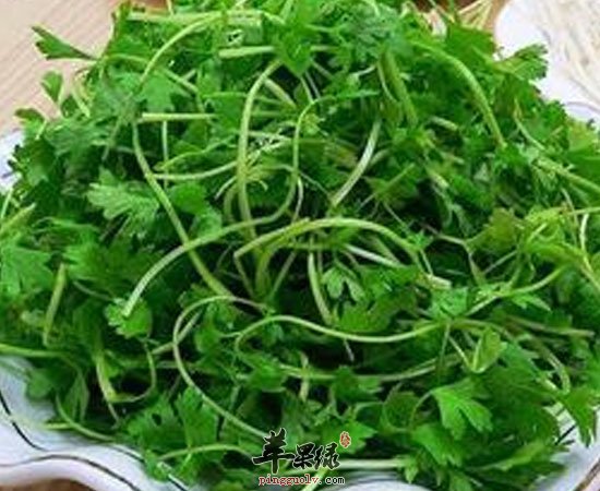 春季吃野菜需要注意什么  第2张