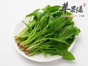 这些蔬菜更适合在处暑食用  第1张