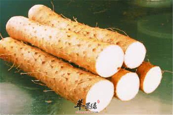 适合夏季化湿祛湿的两种食物  第4张