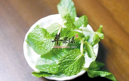 秋季常吃薄荷可以远离风热感冒  第1张