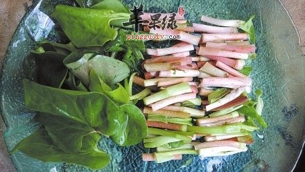 春季适合吃野菜 这些野菜常吃好处多  第4张