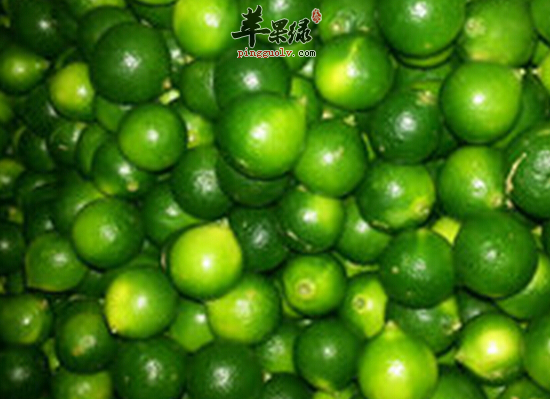 8月吃橘子润肺化痰生津止渴  第4张