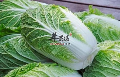 冬季推荐吃蔬菜 大白菜和白萝卜很不错